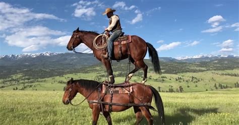 Openai Sora 的图像结果