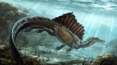 This giant sail-backed dinosaur's hunting style is creating a furore ...