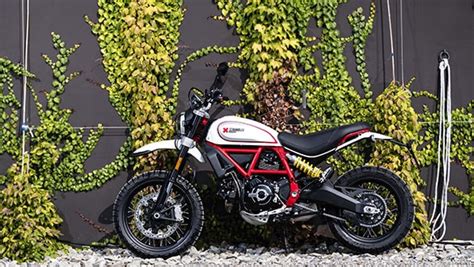 Image gallery: 2019 Ducati Scrambler Icon and Desert Sled - Overdrive