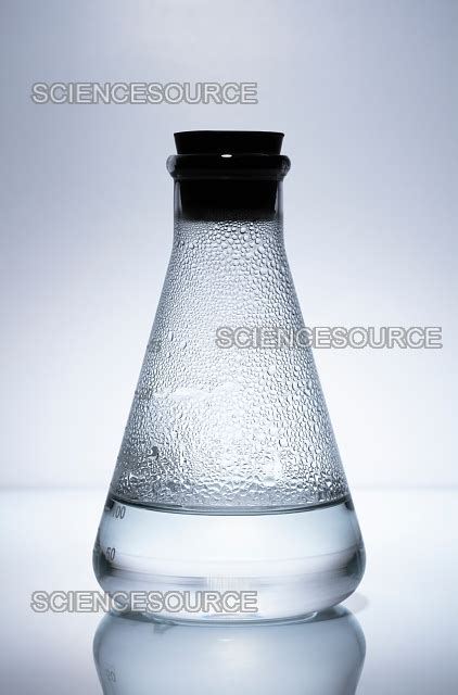 Image result for Dynamic Equibrium