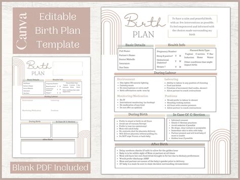 Editable Birth Plan Template | Printable Birthing Plan | Labour and Delivery Preferences ...