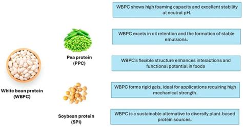Techno-Functionalities of White Bean Protein Concentrate: A Comparative ...