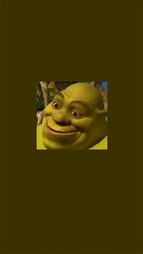 Funny Shrek Wallpapers - Top Free Funny Shrek Backgrounds - WallpaperAccess