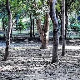 Best Top Rated National park in New Delhi, Delhi, India | Yappe.in