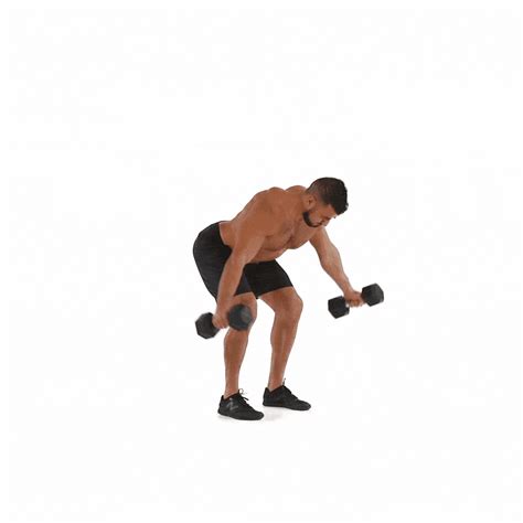 Dumbbell Reverse Fly