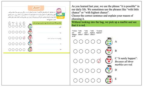 Teachers’ Use of Descriptive Assessment in Primary School Mathematics ...