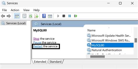 Image result for Resetar MySQL