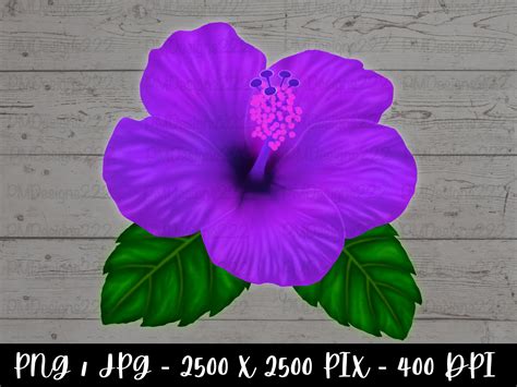Purple Hawaiian Flowers Clip Art Hibiscus Flower Svg, Hibiscus Svg