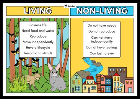 Infographics Living and Non-Living Things - Science Class 5 PDF Download