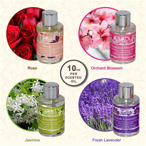 Burner Fragrance Oil Gift Set - 2B Cool_Green – Pan Aromas