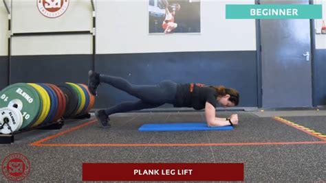 Image result for Basic Core Exercises