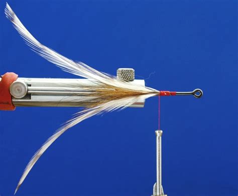 Cockroach Fly Tutorial 的图像结果