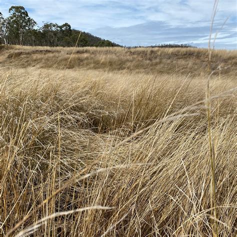 GLENEDEN FAMILY FARM (2024) All You Need to Know BEFORE You Go (with ...