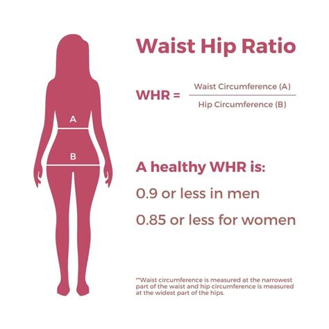 What BMI Vs Waist-to-Hip Ratio Can Tell About Your Health | Weight Loss ...
