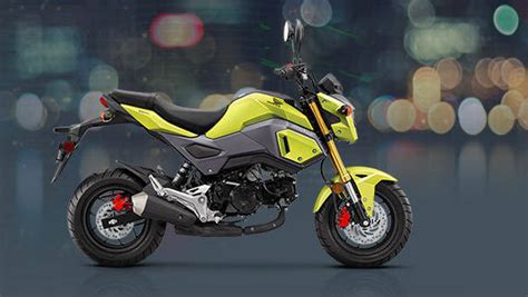 Say hello to the Honda MSX 125 Grom! - Overdrive