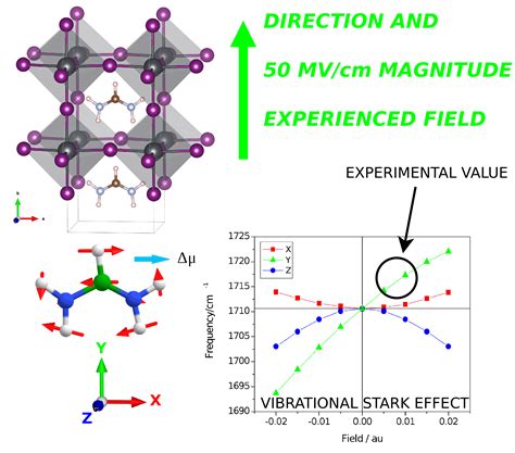 High Power Irradiance Dependence of Charge Species Dynamics in Hybrid ...