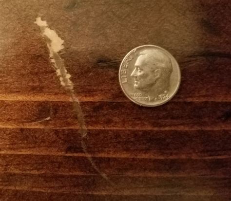 How to Repair Gouges in Wood Turning Projects 的图像结果