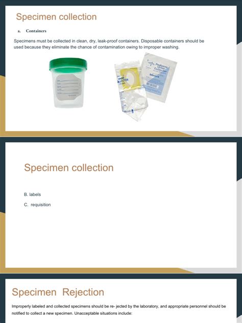 Image result for Urine Collection Method