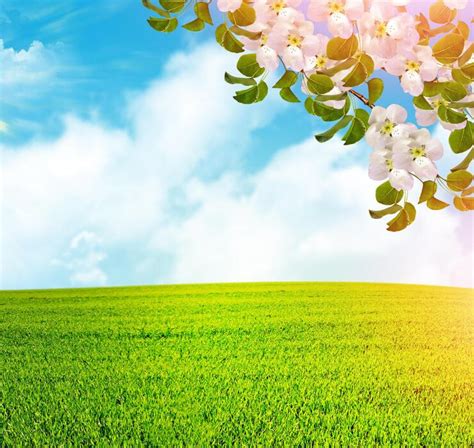 Image result for Free Spring Background