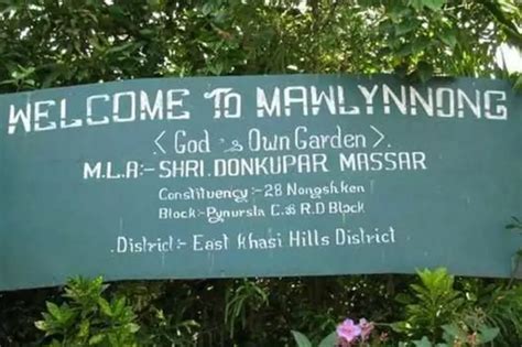 मावलिननॉन्ग: इस गांव के लोग ऐसा क्या करते हैं, जो ये भारत ही नहीं ...