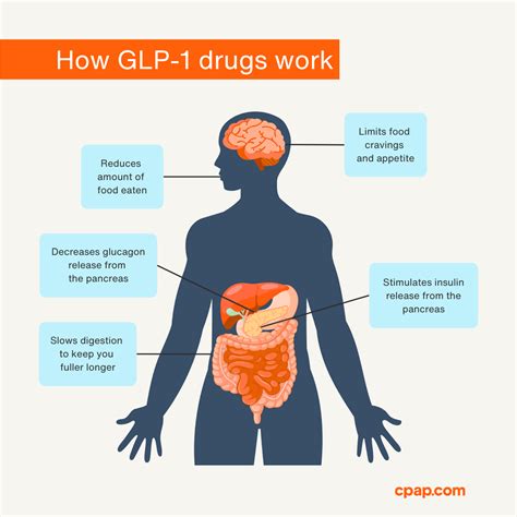 5 Benefits of GLP-1 Medications for Sleep Apnea Patients – cpap.com
