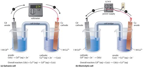 Image result for Electrolytic Cell Anode Cathode
