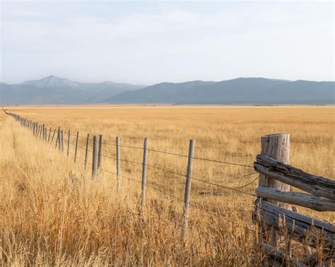 Personalization | Eckersell Funeral Home