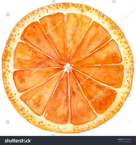 44,262 Orange Slice Drawing Images, Stock Photos & Vectors | Shutterstock