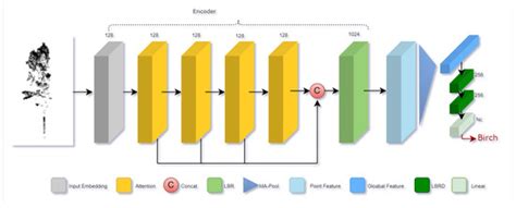 Classification of Individual Tree Species Using UAV LiDAR Based on ...