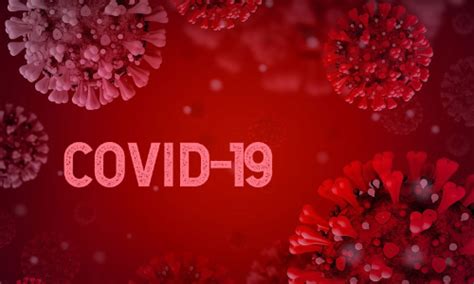 Consumer Laws | Get Latest News And Updates On Consumer laws In India