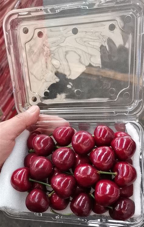 国产樱桃 1.5kg_水 果 专 区_正义田头菜市欢迎您