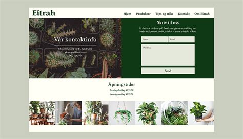 Image result for Project Using Only HTML
