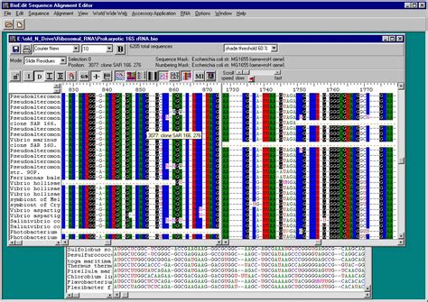 Image result for BioEdit Software Download