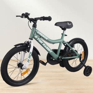 R for Rabbit Cruize Bicycle for Kids 14'' for 3-5 Years | Training ...