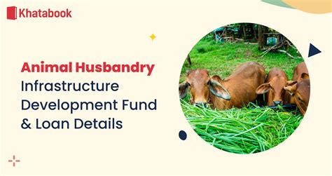 Animal Husbandry 的图像结果