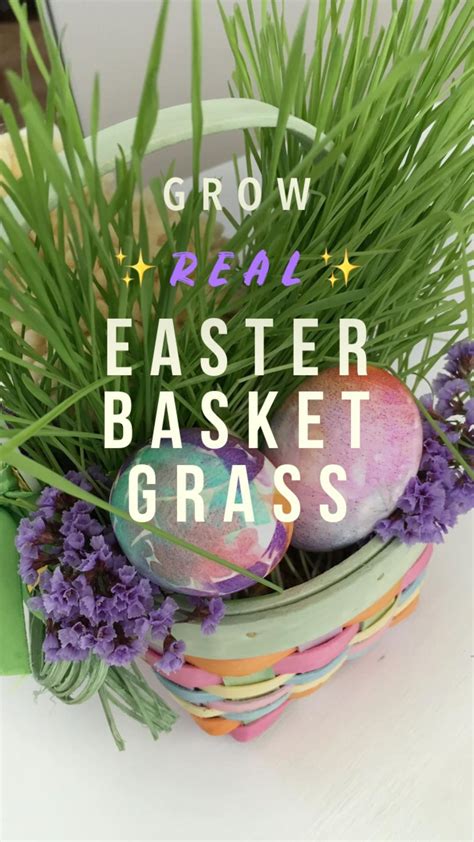 Grow real easter basket grass – Artofit
