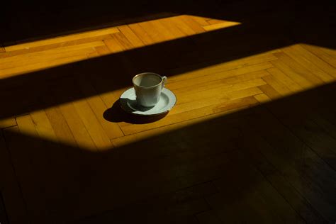 Shadows On The Floor Photos, Download The BEST Free Shadows On The ...
