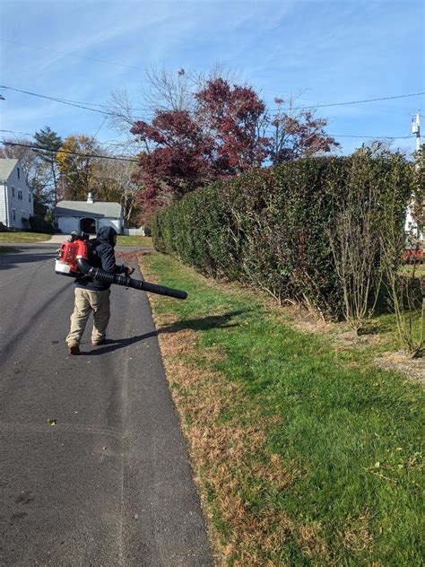 Tick Control Services