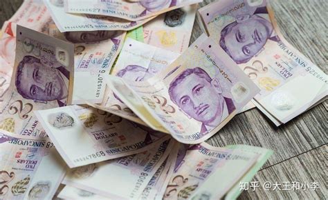 新加坡货币兑换商：即使有客人来换钱，利润也不过2—3新币