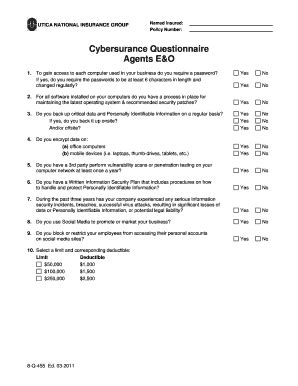 Cybersurance Questionnaire - Blank Fillable Template | Fill Out, Print ...