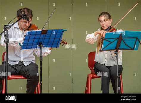 Image result for Classical String Trio