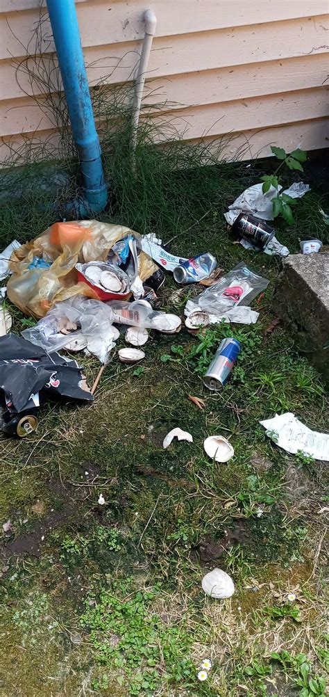 COMPLEJO TURÍSTICO LOS ALAMOS (Puerto Montt) - Ranch Reviews, Photos ...