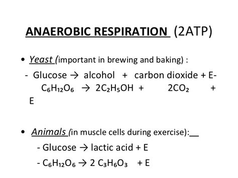 Overall Chemical Equation For Aerobic Cellular Respiration - Tessshebaylo