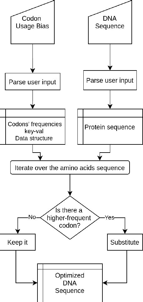 Image result for Codon Bias
