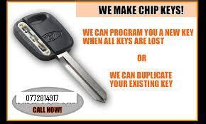 Program Transponder Key 的图像结果