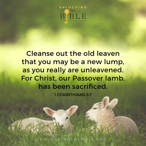 What Is The Passover In The Kjv Bible - thesecondpassover