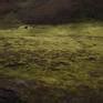 Intriguing Soil, Misty Landscape 3 - Limited Edition 1 of 20 ...