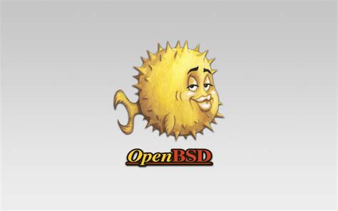 OpenBSD ISO 的图像结果