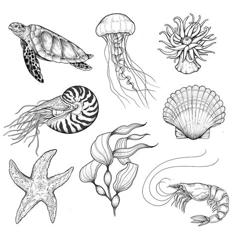 Avi on Instagram: "Sea creatures! 🦐🪼 already thinking of which ones I ...