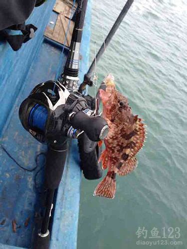 广东南澳岛之行海钓漂亮的热带鱼_钓鱼人必看
